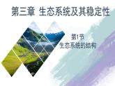 3.1  生态系统的结构（精编课件+同步练习）精编高二生物同步备课系列（人教版2019选择性必修2）