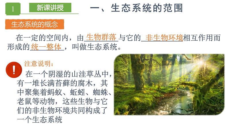 3.1 生态系统的结构（备课件）精编高二生物同步备课系列（人教版2019选择性必修2）第4页