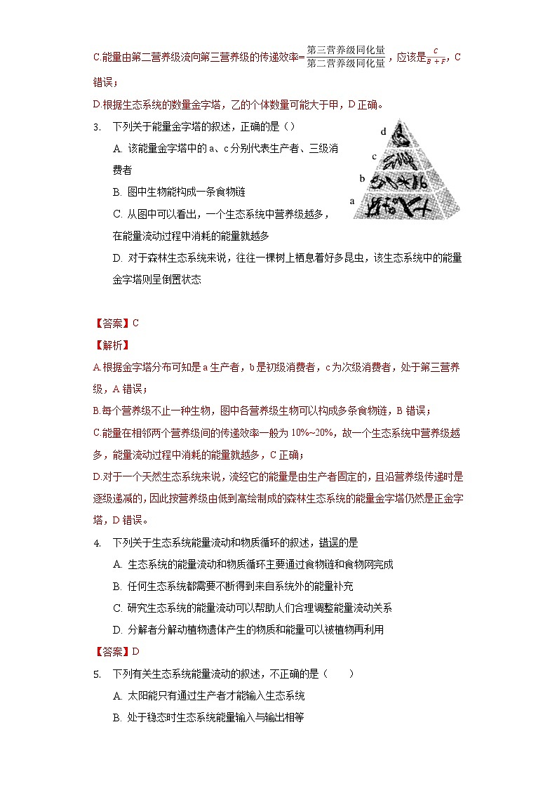 3.2 生态系统的能量流动（精编课件+同步练习）精编高二生物同步备课系列（人教版2019选择性必修2）02