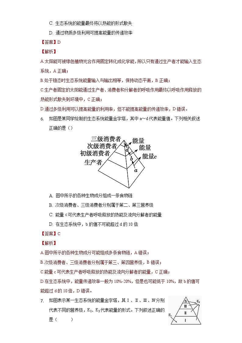3.2 生态系统的能量流动（精编课件+同步练习）精编高二生物同步备课系列（人教版2019选择性必修2）03