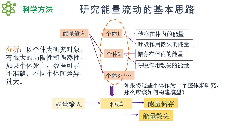 3.2 生态系统的能量流动（精编课件+同步练习）精编高二生物同步备课系列（人教版2019选择性必修2）05