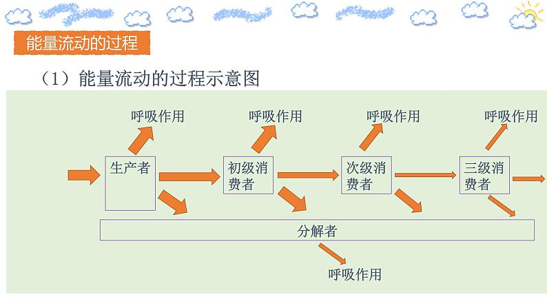 3.2 生态系统的能量流动（精编课件+同步练习）精编高二生物同步备课系列（人教版2019选择性必修2）06