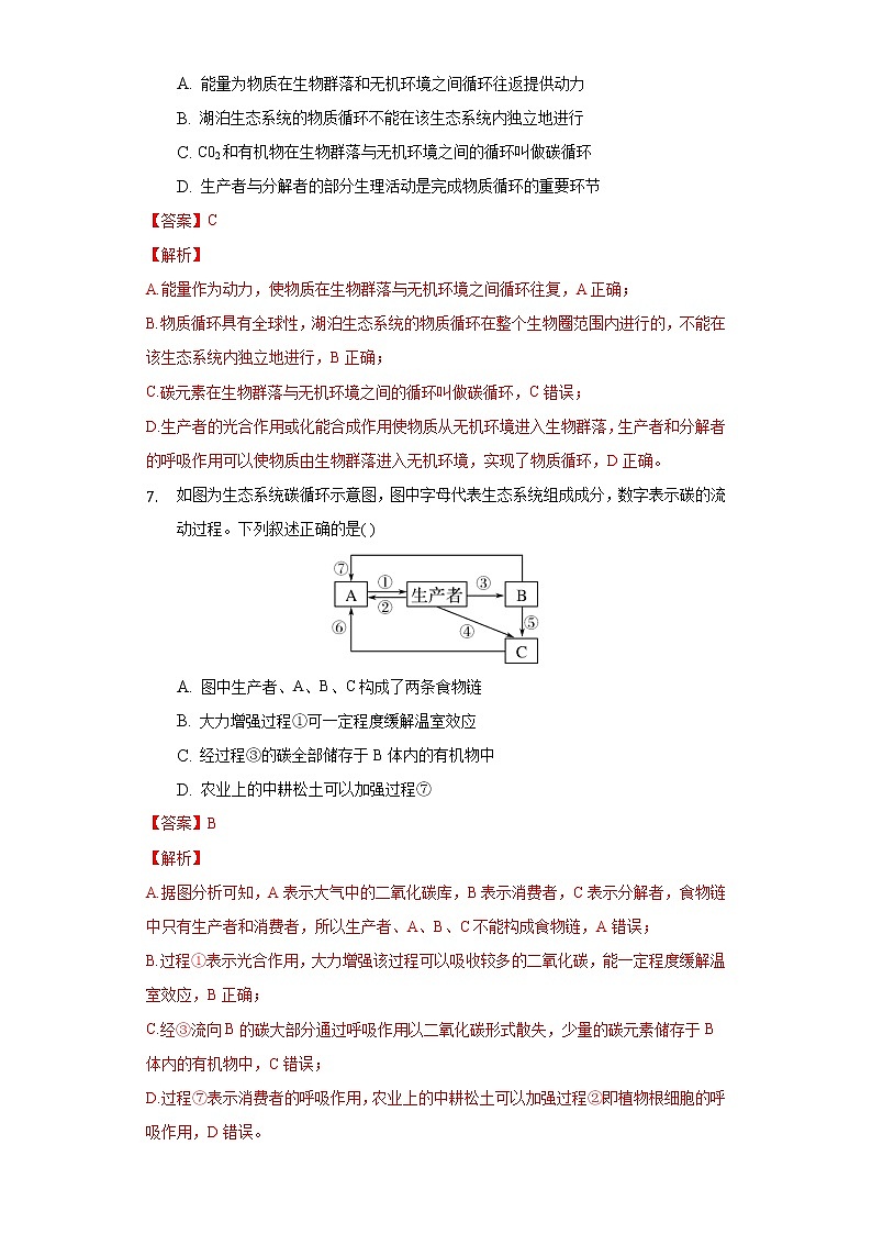 3.3 生态系统的物质循环（精编课件+同步练习）精编高二生物同步备课系列（人教版2019选择性必修2）03