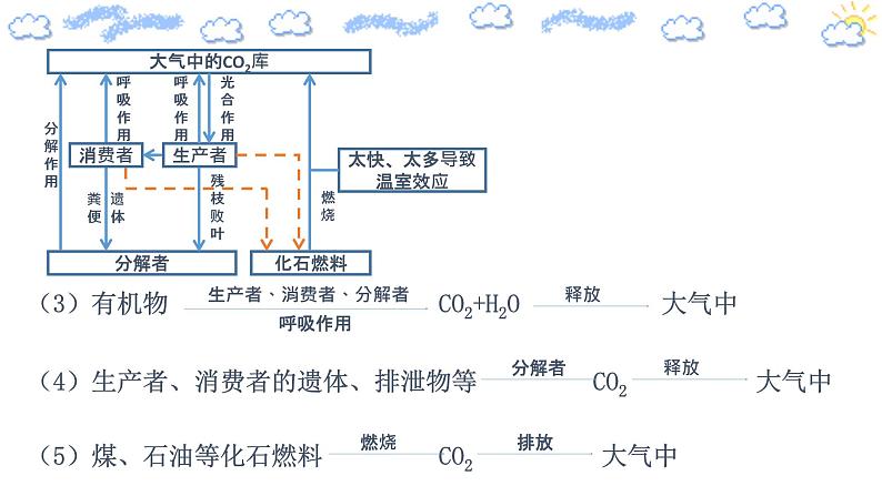 3.3 生态系统的物质循环（精编课件+同步练习）精编高二生物同步备课系列（人教版2019选择性必修2）08