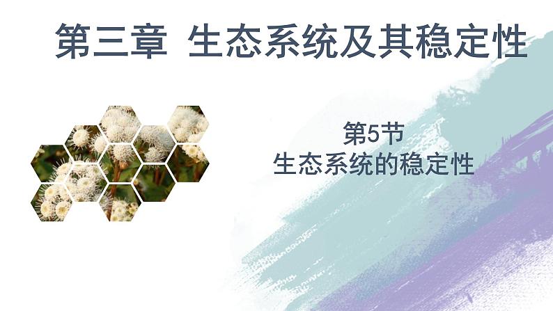 3.5 生态系统的稳定性（备课件）精编高二生物同步备课系列（人教版2019选择性必修2）第1页