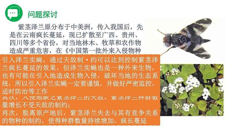 3.5 生态系统的稳定性（备课件）精编高二生物同步备课系列（人教版2019选择性必修2）第3页