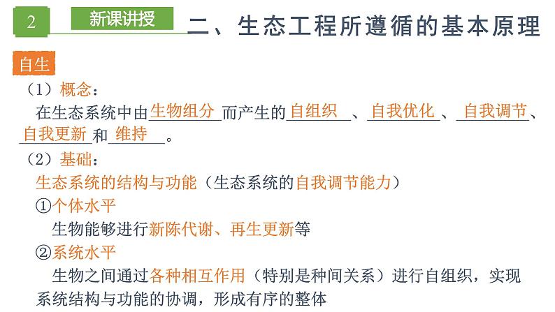 4.3 生态工程（精编课件+同步练习）精编高二生物同步备课系列（人教版2019选择性必修2）07