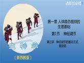 1.1.3精编神经调节的基本方式是反射（精编课件+同步练习）精编高二生物同步备课系列（新苏教版（2019）选择性必修1）