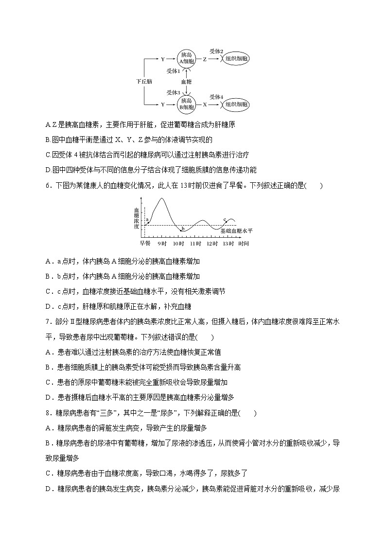 2.2 血糖平衡的调节（备作业）精编高二生物同步备课系列（新苏教版（2020）选择性必修1）（原卷版）第2页