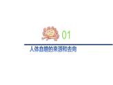 2.2精编血糖平衡的调节（精编课件+同步练习）精编高二生物同步备课系列（新苏教版（2019）选择性必修1）