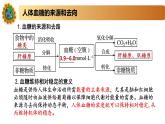 2.2精编血糖平衡的调节（精编课件+同步练习）精编高二生物同步备课系列（新苏教版（2019）选择性必修1）