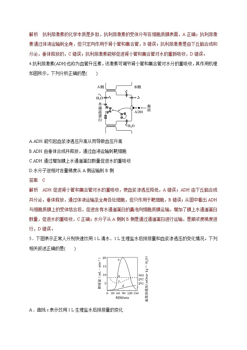 2.3水盐平衡的调节（精编课件+同步练习）精编高二生物同步备课系列（新苏教版（2019）选择性必修1）02