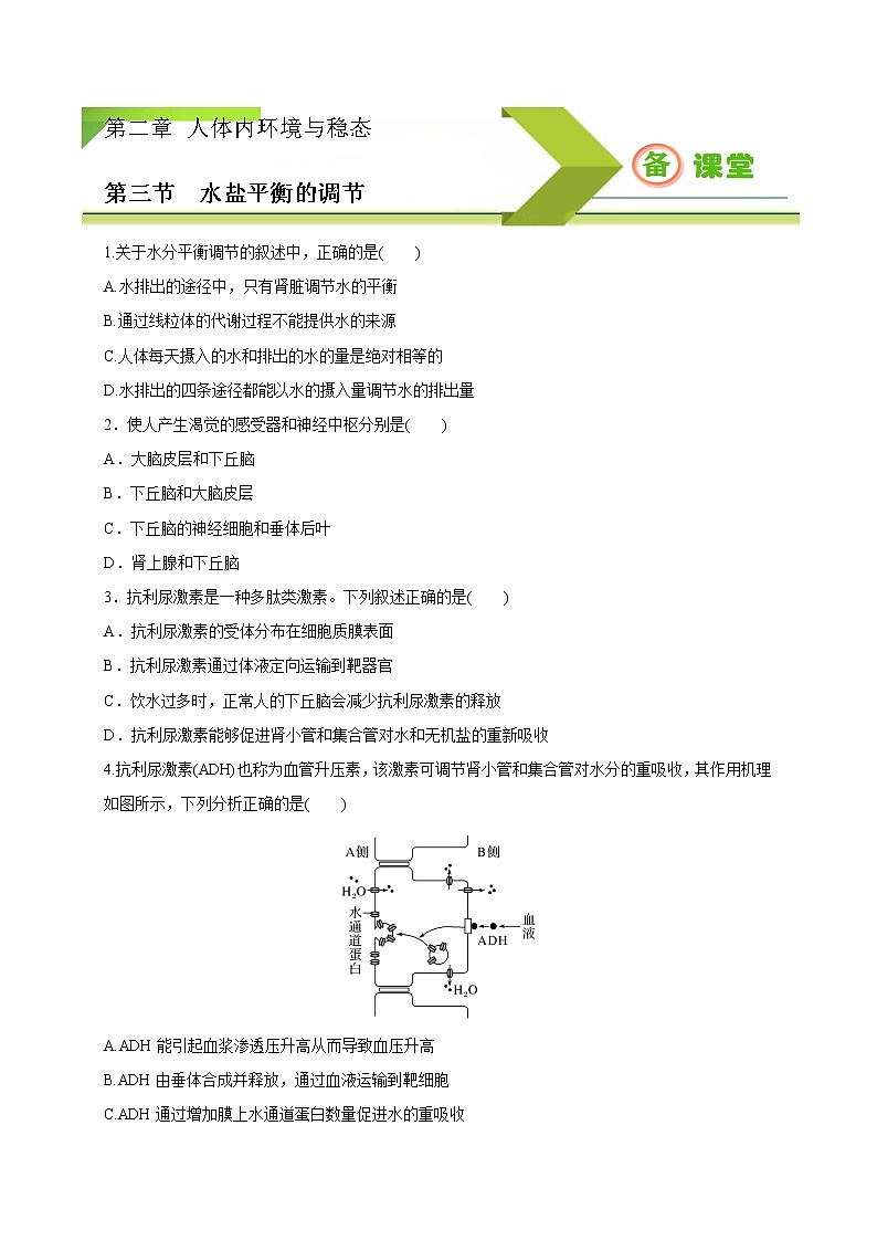 2.3水盐平衡的调节（精编课件+同步练习）精编高二生物同步备课系列（新苏教版（2019）选择性必修1）01