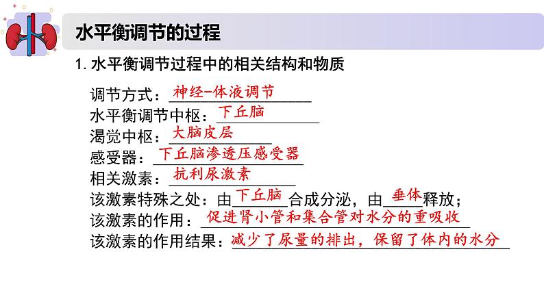 2.3水盐平衡的调节（精编课件+同步练习）精编高二生物同步备课系列（新苏教版（2019）选择性必修1）06