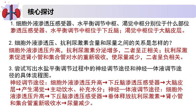 2.3水盐平衡的调节（精编课件+同步练习）精编高二生物同步备课系列（新苏教版（2019）选择性必修1）08