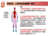 2.4精编体温稳定的调节（精编课件+同步练习）精编高二生物同步备课系列（新苏教版（2019）选择性必修1）