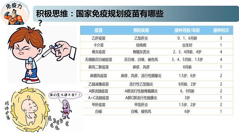 3.1.1精编人体的免疫应答（精编课件+同步练习）精编高二生物同步备课系列（新苏教版（2019）选择性必修1）03