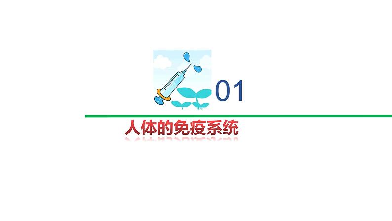 3.1.1精编人体的免疫应答（精编课件+同步练习）精编高二生物同步备课系列（新苏教版（2019）选择性必修1）04