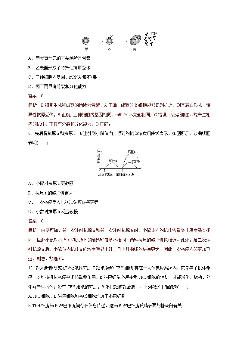 3.1.1精编人体的免疫应答（精编课件+同步练习）精编高二生物同步备课系列（新苏教版（2019）选择性必修1）03