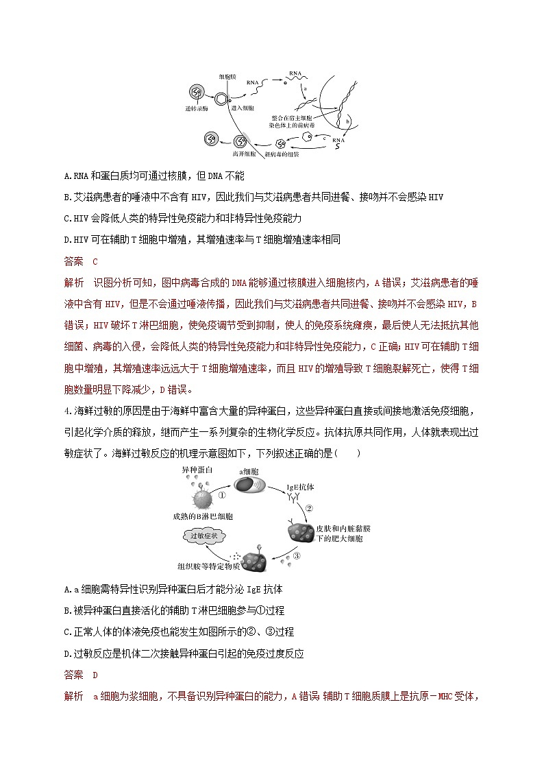3.2精编人体免疫功能异常（精编课件+同步练习）精编高二生物同步备课系列（新苏教版（2019）选择性必修1）02