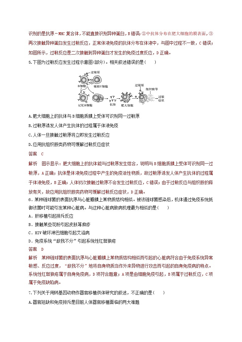 3.2精编人体免疫功能异常（精编课件+同步练习）精编高二生物同步备课系列（新苏教版（2019）选择性必修1）03
