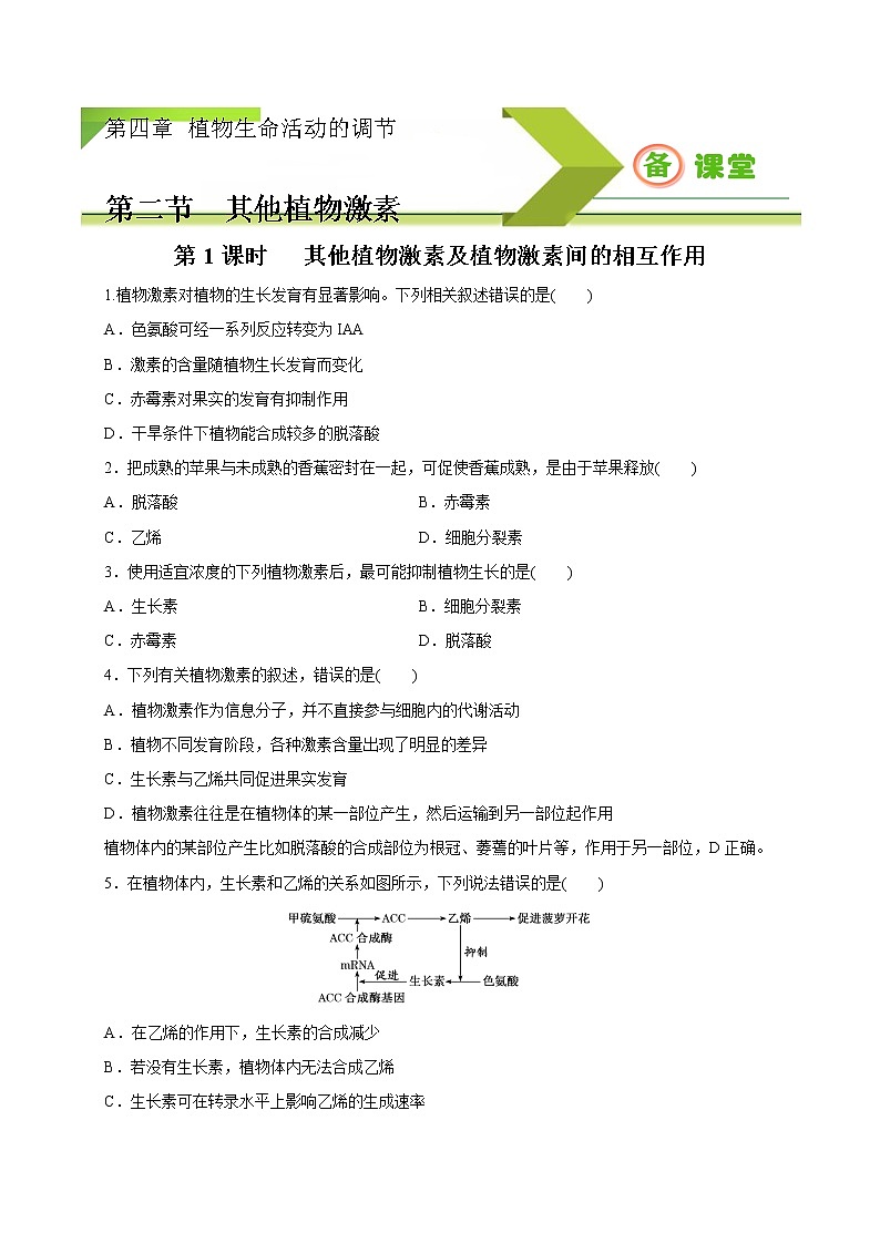 4.2.1精编其他植物激素及激素间的相互作用（精编课件+同步练习）精编高二生物同步备课系列（新苏教版（2019）选择性必修1）01