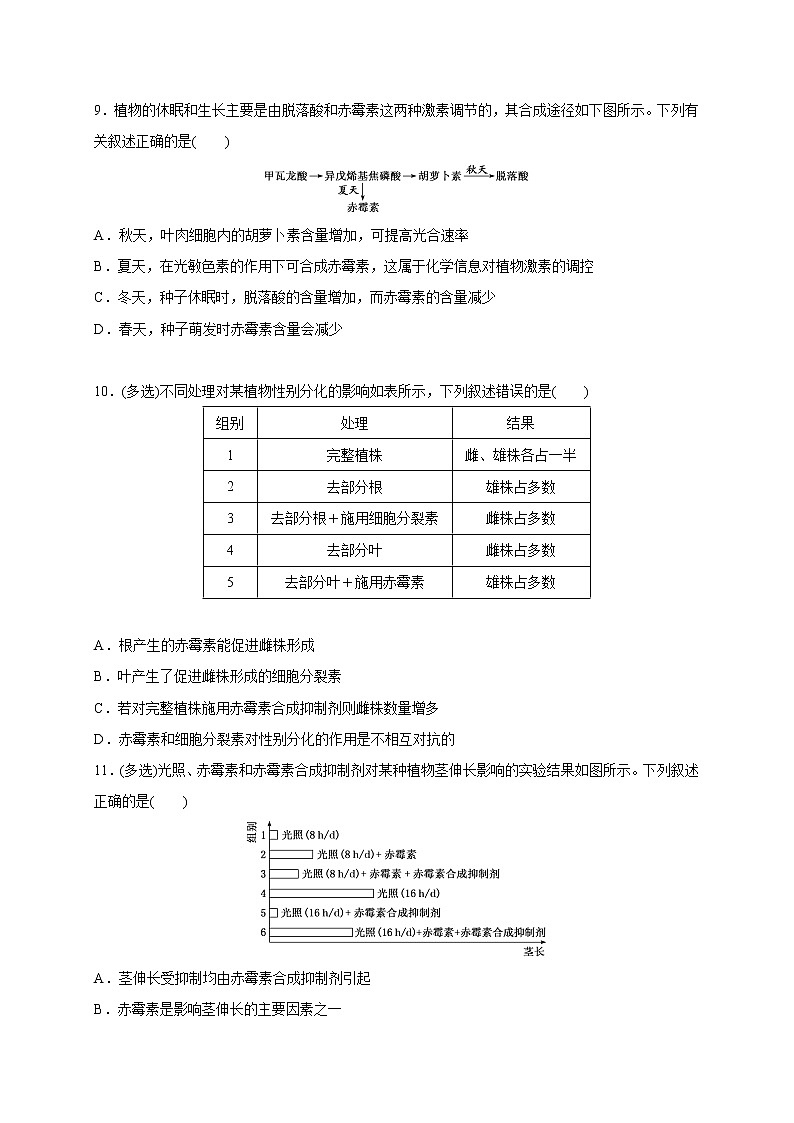 4.2.1精编其他植物激素及激素间的相互作用（精编课件+同步练习）精编高二生物同步备课系列（新苏教版（2019）选择性必修1）03