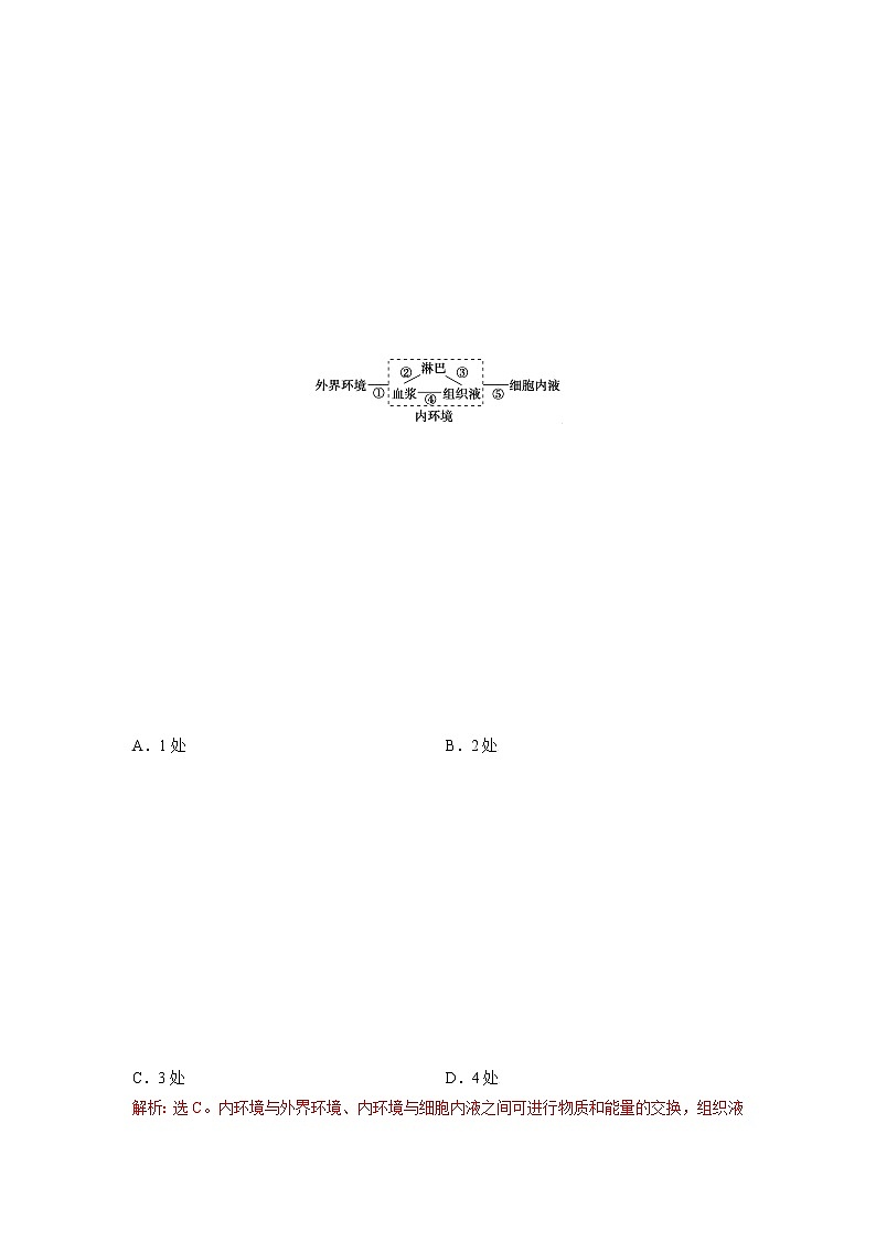 1.1 人体细胞生活在内环境中（二）（精编课件+同步练习）精编高二生物同步备课系列（浙科版2019选择性必修1）02