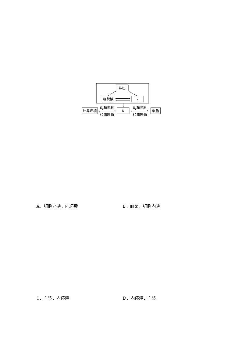 1.1 人体细胞生活在内环境中（二）（精编课件+同步练习）精编高二生物同步备课系列（浙科版2019选择性必修1）03