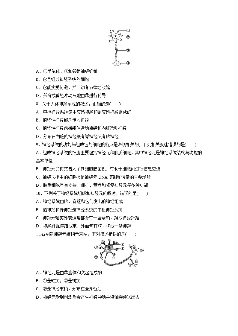 2.1 神经系统是神经调节的结构基础（备作业）-【上好课】2021-2022学年高二生物同步备课系列（浙科版2019选择性必修1）（原卷版）第2页