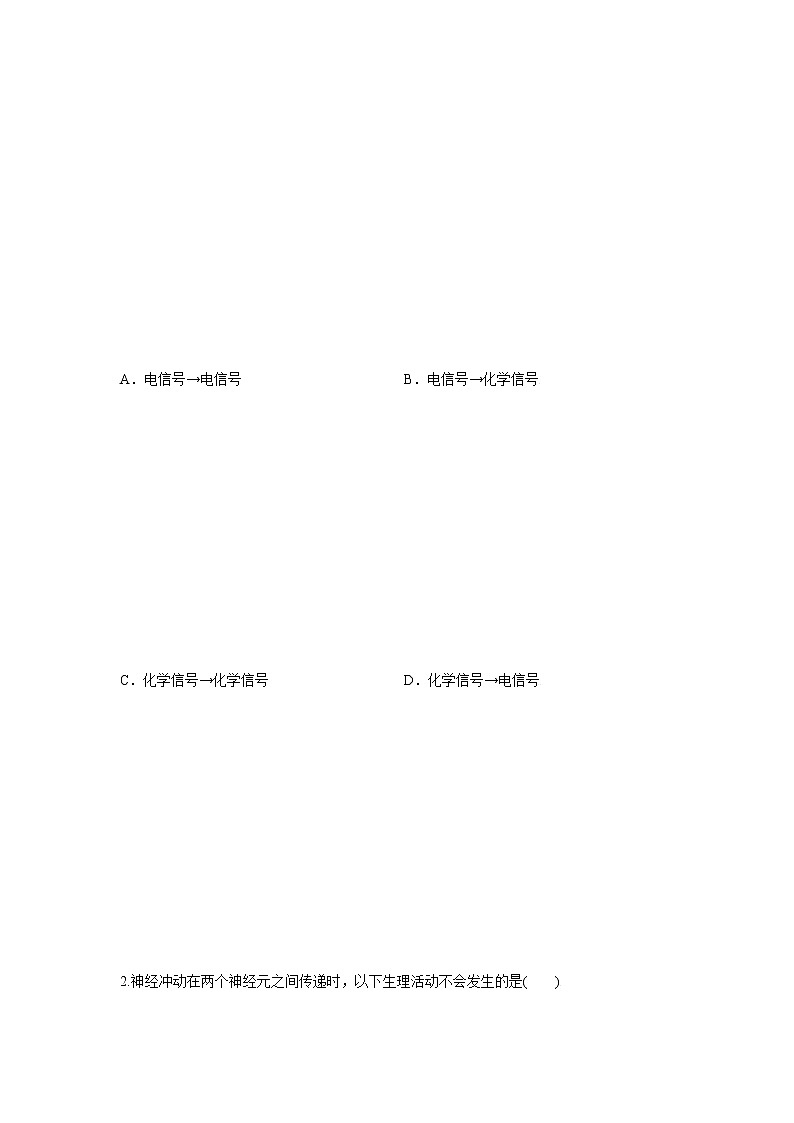 2.2 神经冲动的产生和传导（第1课时）（精编课件+同步练习）精编高二生物同步备课系列（浙科版2019选择性必修1）02