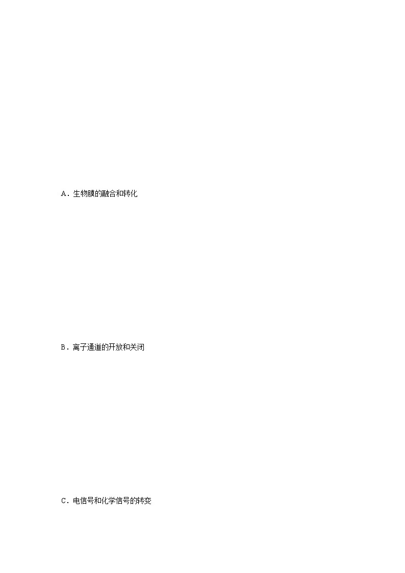 2.2 神经冲动的产生和传导（第1课时）（精编课件+同步练习）精编高二生物同步备课系列（浙科版2019选择性必修1）03