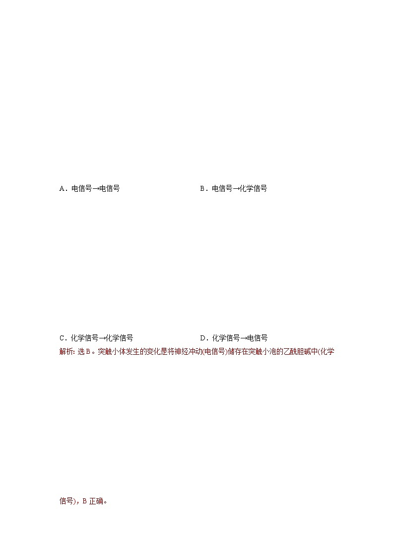 2.2 神经冲动的产生和传导（第1课时）（精编课件+同步练习）精编高二生物同步备课系列（浙科版2019选择性必修1）02