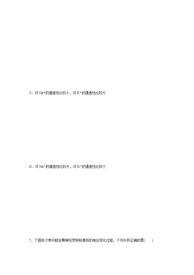 2.2 神经冲动的产生和传导（第1课时）（精编课件+同步练习）精编高二生物同步备课系列（浙科版2019选择性必修1）03