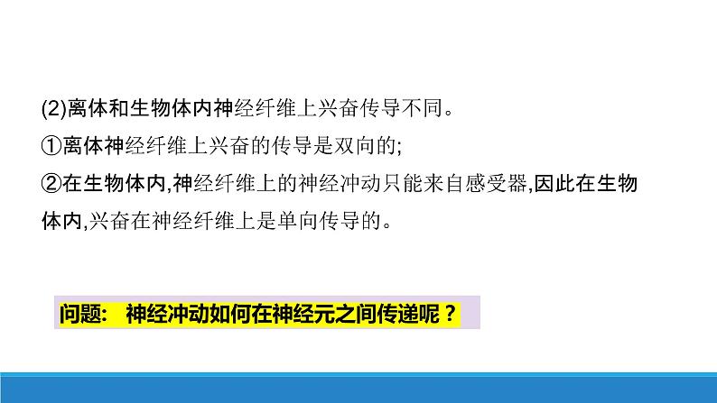 2.2 神经冲动的产生和传导（第1课时）（精编课件+同步练习）精编高二生物同步备课系列（浙科版2019选择性必修1）03