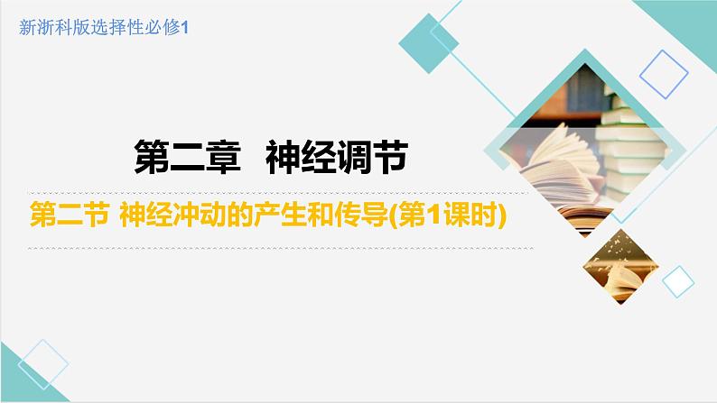 2.2 神经冲动的产生和传导（第1课时）（精编课件+同步练习）精编高二生物同步备课系列（浙科版2019选择性必修1）02