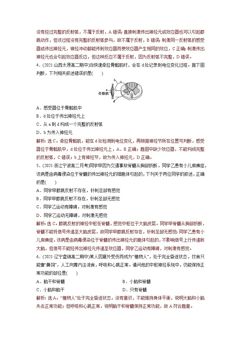 2.3 人体通过神经调节对刺激做出反应（第1课时）（精编课件+同步练习）精编高二生物同步备课系列（浙科版2019选择性必修1）02