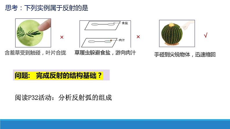 2.3 人体通过神经调节对刺激做出反应（第1课时）（精编课件+同步练习）精编高二生物同步备课系列（浙科版2019选择性必修1）05