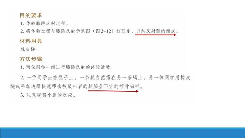 2.3 人体通过神经调节对刺激做出反应（第1课时）（精编课件+同步练习）精编高二生物同步备课系列（浙科版2019选择性必修1）06