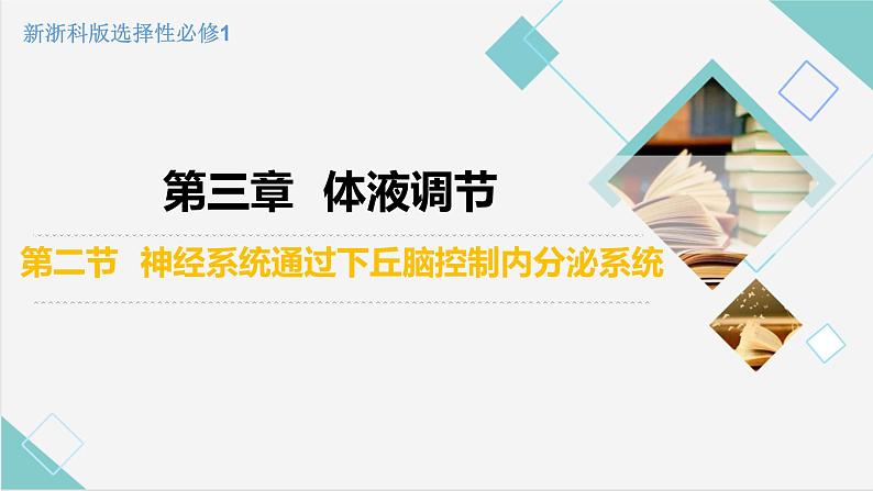 3.2 神经系统通过下丘脑控制内分泌系统（精编课件+同步练习）精编高二生物同步备课系列（浙科版2019选择性必修1）02