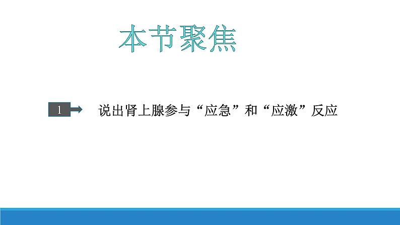 3.3 激素调节身体多种机能(第3课时)（备课件）精编高二生物同步备课系列（浙科版2019选择性必修1）第3页