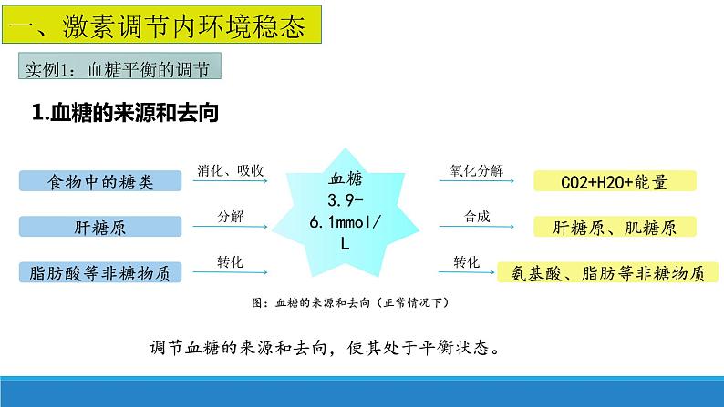 3.3 激素调节身体多种机能(第2课时)（备课件）精编高二生物同步备课系列（浙科版2019选择性必修1）第4页