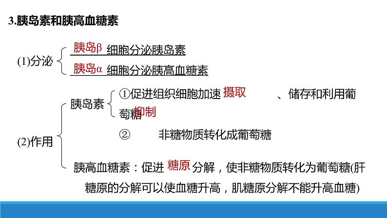 3.3 激素调节身体多种机能(第2课时)（备课件）精编高二生物同步备课系列（浙科版2019选择性必修1）第6页