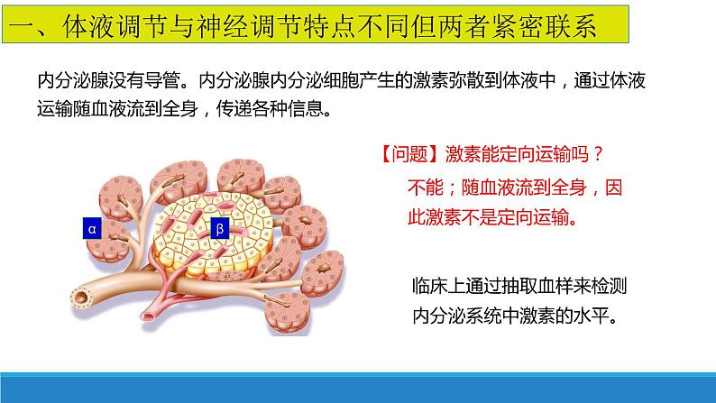 3.4 体液调节与神经调节共同维持机体的稳态（精编课件+同步练习）精编高二生物同步备课系列（浙科版2019选择性必修1）04