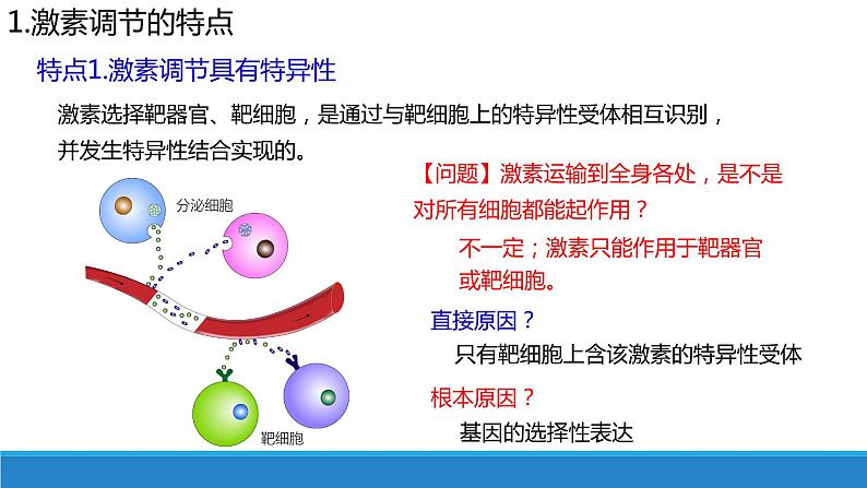 3.4 体液调节与神经调节共同维持机体的稳态（精编课件+同步练习）精编高二生物同步备课系列（浙科版2019选择性必修1）05