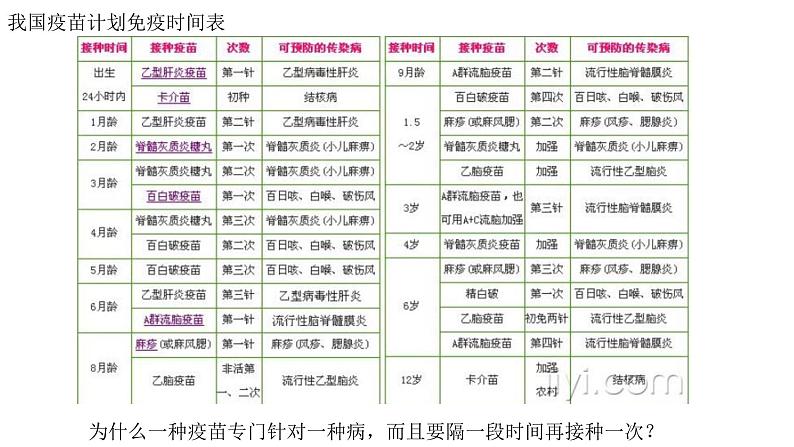 4.3 人体通过特异性免疫对抗病原体（第1课时）（备课件）精编高二生物同步备课系列（浙科版2019选择性必修1）第1页