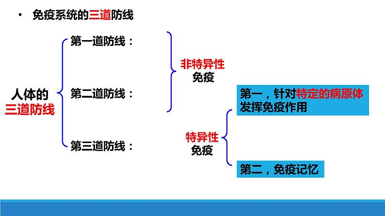 4.3 人体通过特异性免疫对抗病原体（第1课时）（备课件）精编高二生物同步备课系列（浙科版2019选择性必修1）第4页