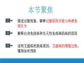 4.4 免疫功能异常引发疾病（精编课件+同步练习）精编高二生物同步备课系列（浙科版2019选择性必修1）