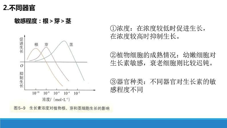 5.1 生长素的发现开启了人类对植物激素调节的探索（第3课时）（备课件）精编高二生物同步备课系列（浙科版2019选择性必修1）第3页