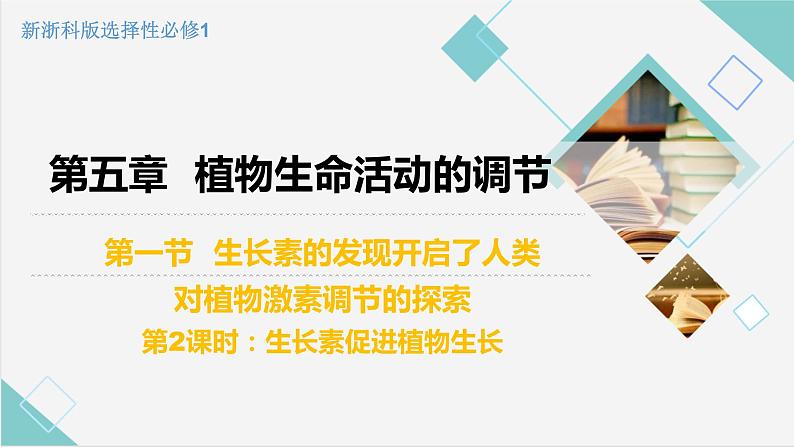 5.1 生长素的发现开启了人类对植物激素调节的探索（第2课时）（备课件）精编高二生物同步备课系列（浙科版2019选择性必修1）第1页